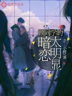创造新纪录效率再提升